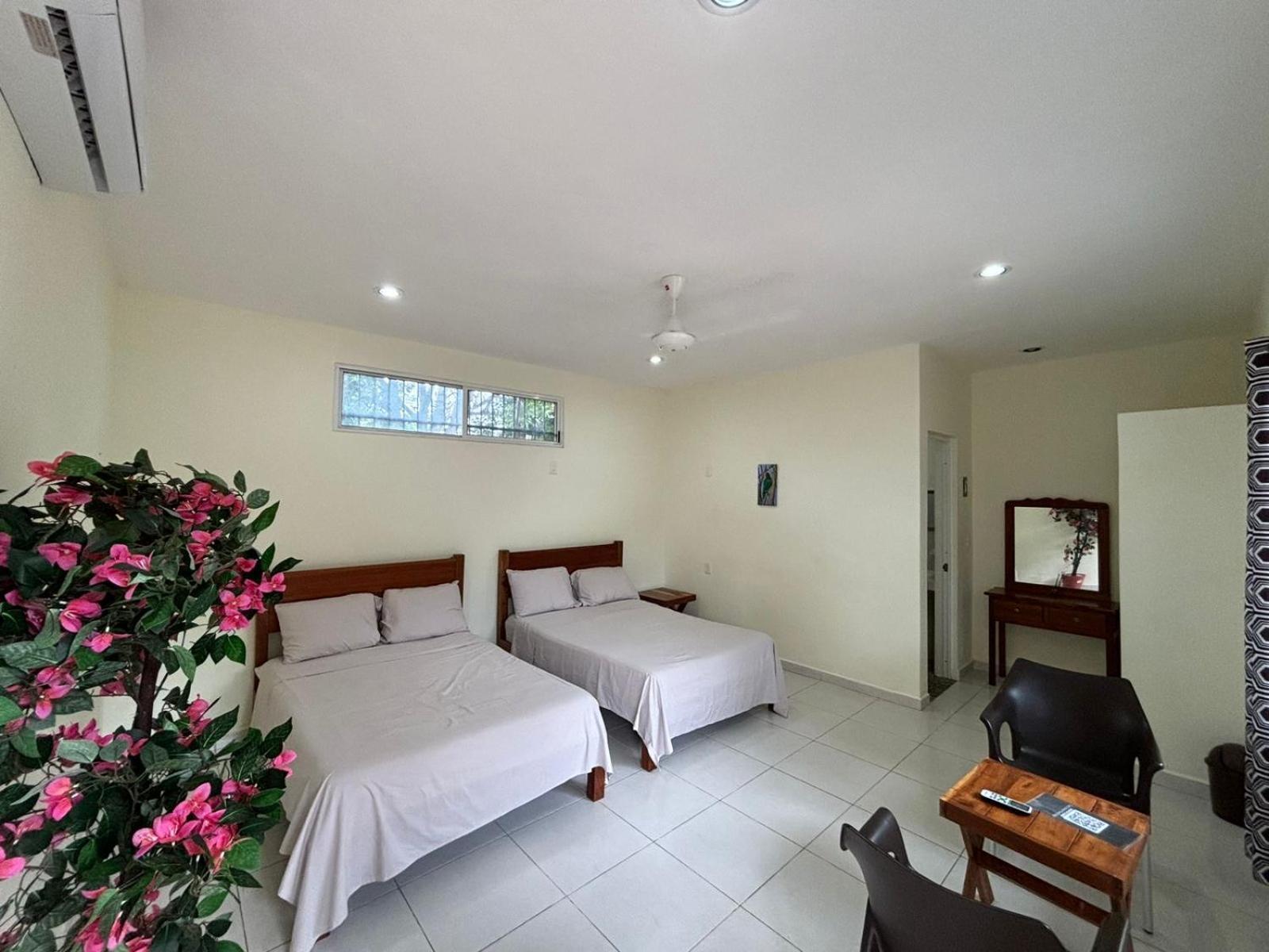 Casa Del Cenote Hotel วัลลาโดลิด ภายนอก รูปภาพ