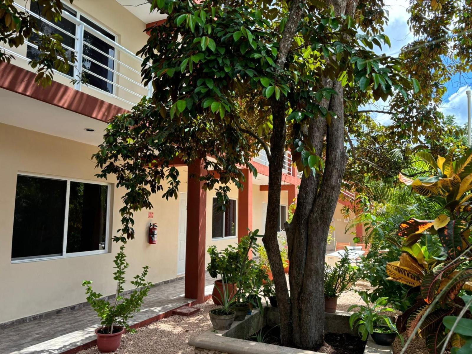 Casa Del Cenote Hotel วัลลาโดลิด ภายนอก รูปภาพ